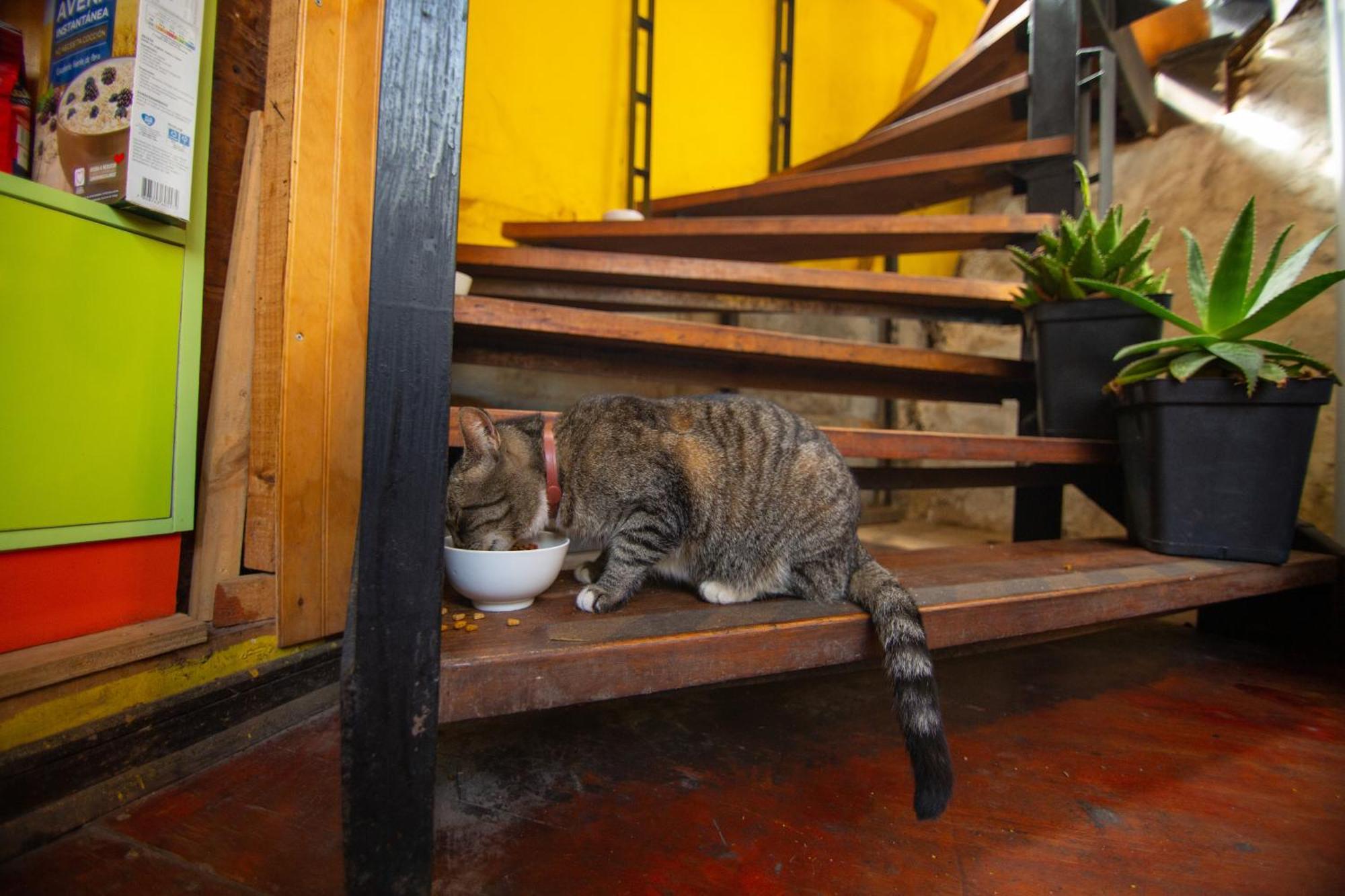 La Casa Del Puerto, Hostal Cultural, Cerro Alegre ヴァルパライソ エクステリア 写真
