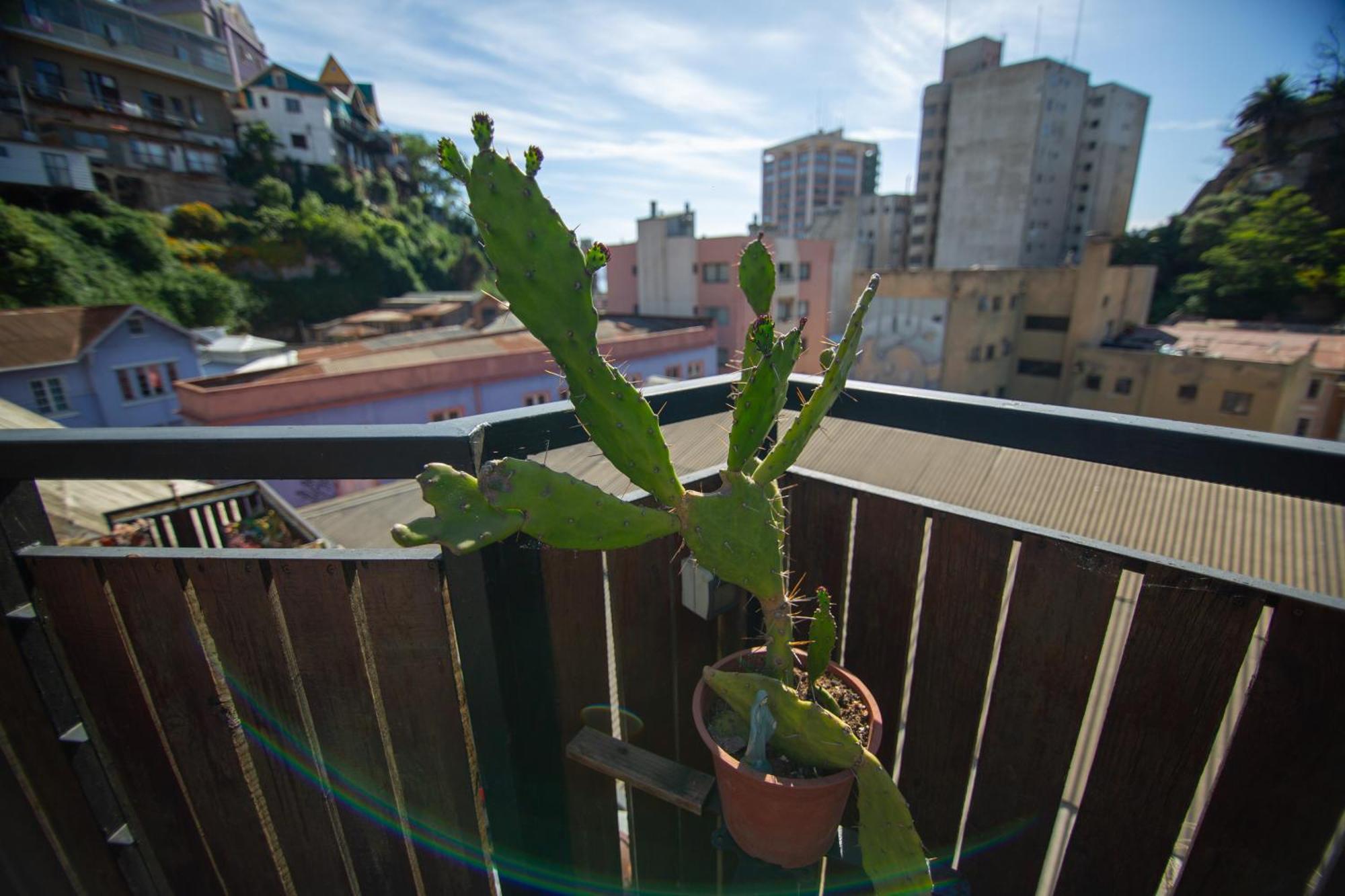 La Casa Del Puerto, Hostal Cultural, Cerro Alegre ヴァルパライソ エクステリア 写真