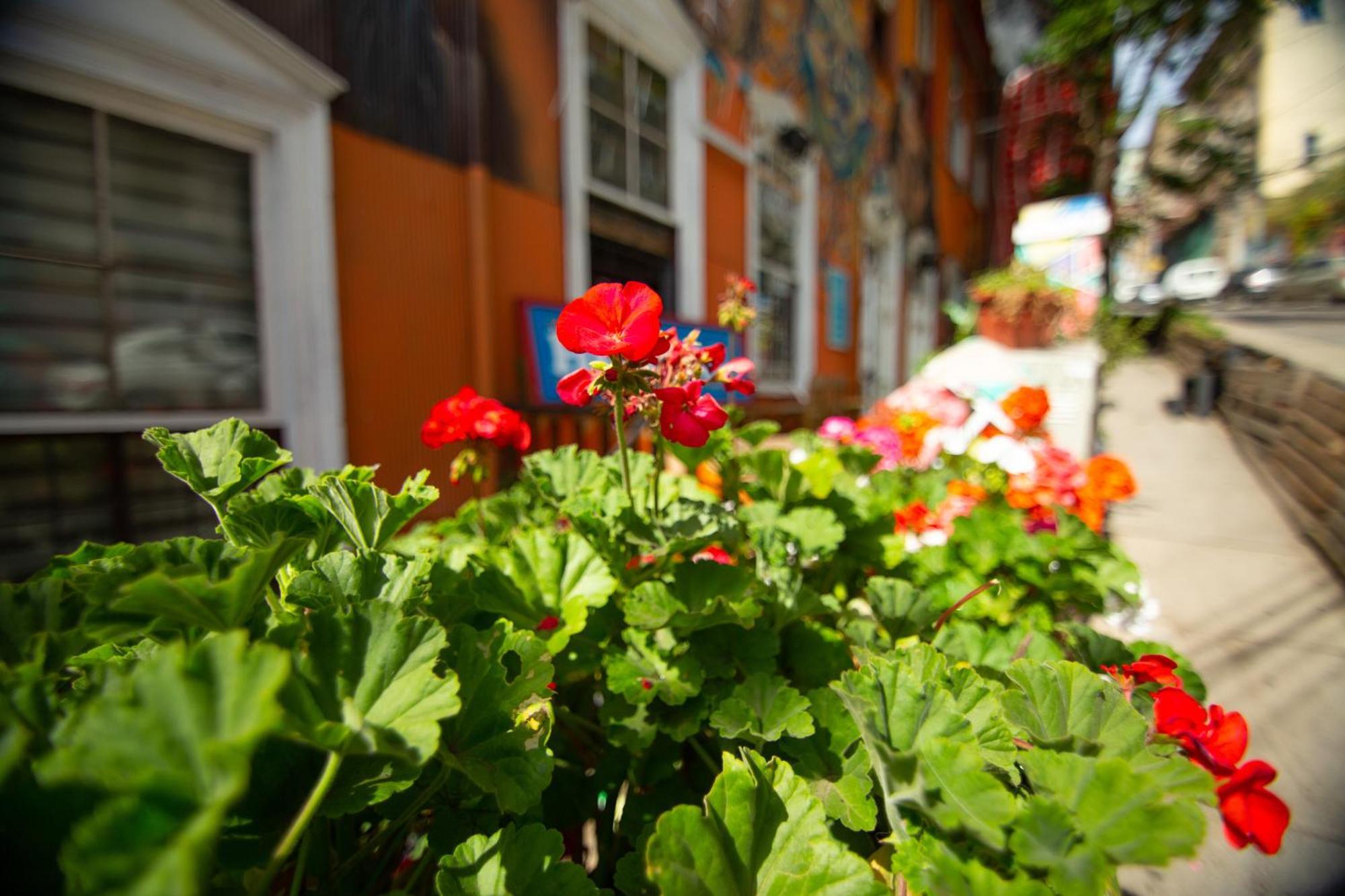 La Casa Del Puerto, Hostal Cultural, Cerro Alegre ヴァルパライソ エクステリア 写真